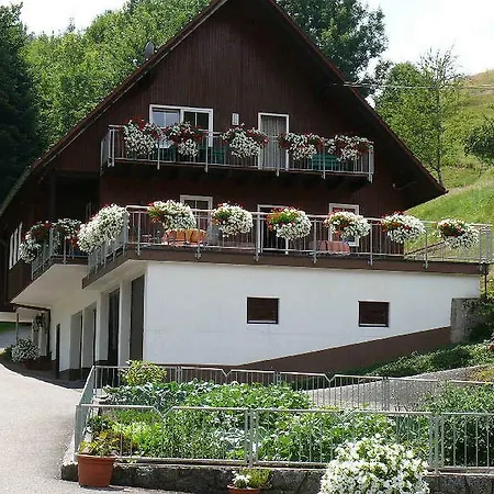 Vogtadeshof Apartment Wolfach Exterior photo
